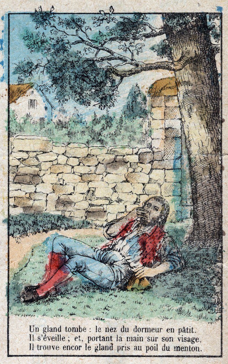 Meşe palamudu ve balkabağı. Jean de La Fontaine (1621-95) Masalları. 19. yüzyılın sonundan Epinal