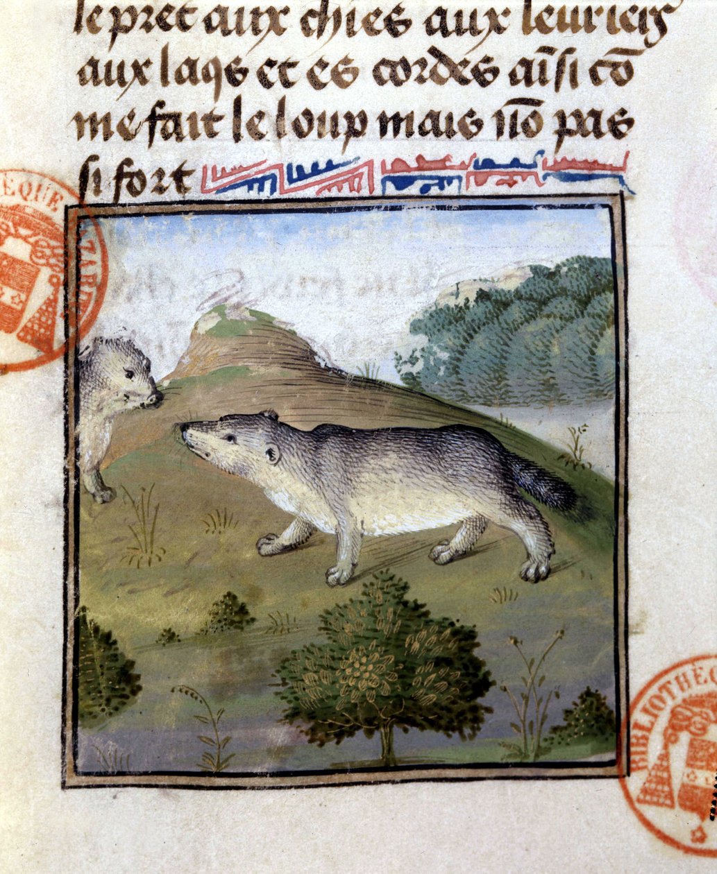 Porsuk - “” Gaston Phoebus