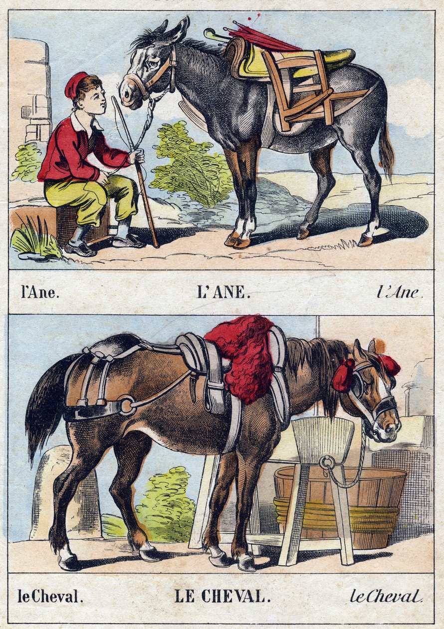 Eşek ve at. "Buffon Alphabet des Animaux" gravürü. 3. Seri N 1. Epinal