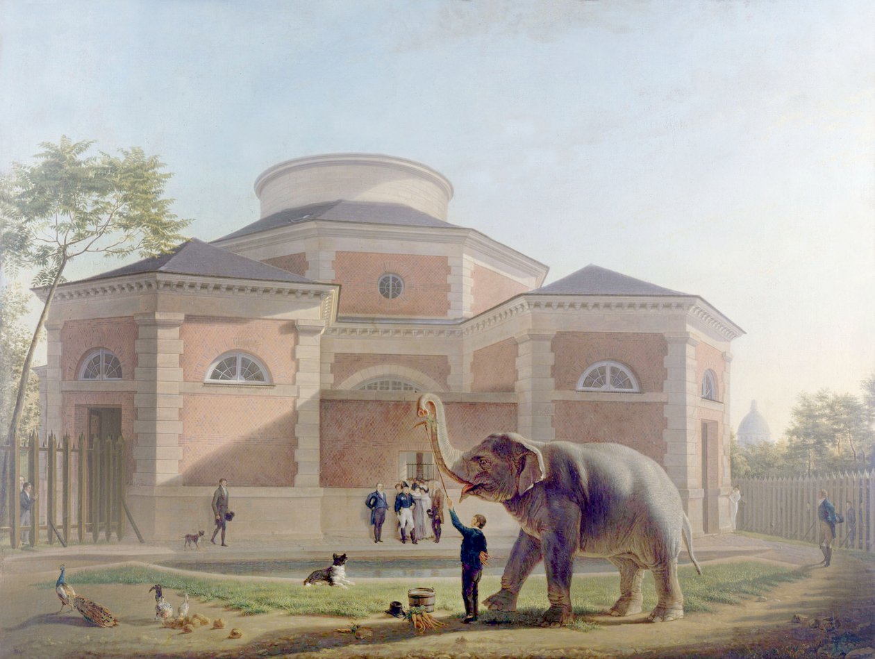 Jardin des Plantes'teki rotunda, Paris, c. 1810 (resim) by French School