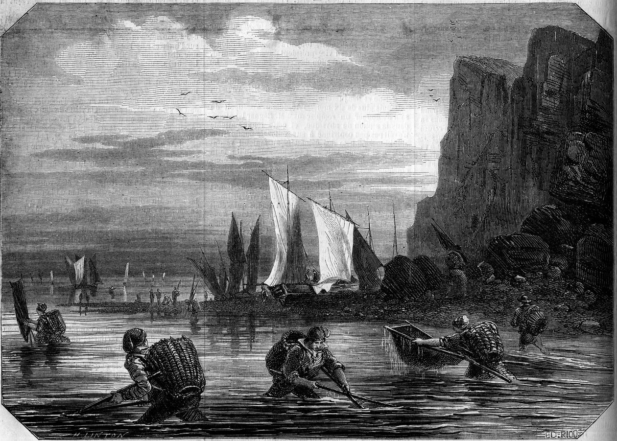 Le Havre civarında karides balıkçılığı, Seine Maritime (76) by French School