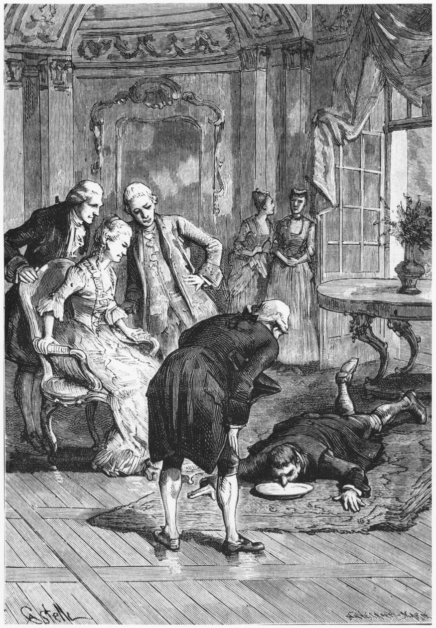 Uyurgezer Victor ve Madame de Montessons