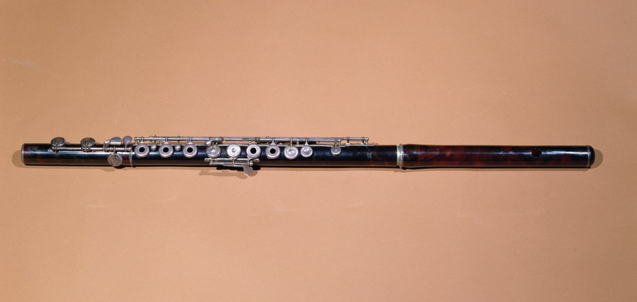 Enine flüt (ahşap ve metal) by French School