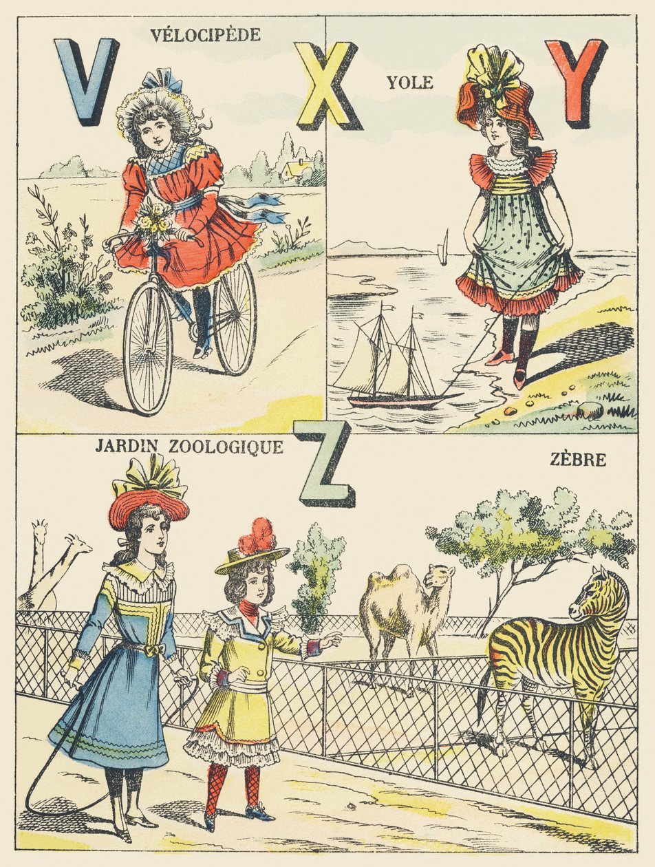 V X Y Z: velocipede, yole, hayvanat bahçesi, zebra by French School