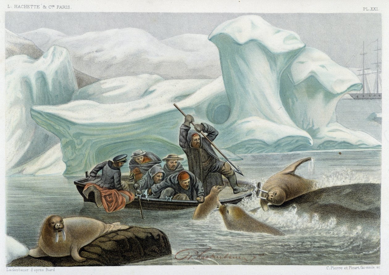 Mors avı - Alfred Fredol, Hachette, Paris tarafından “Le monde de la mer”de by French School