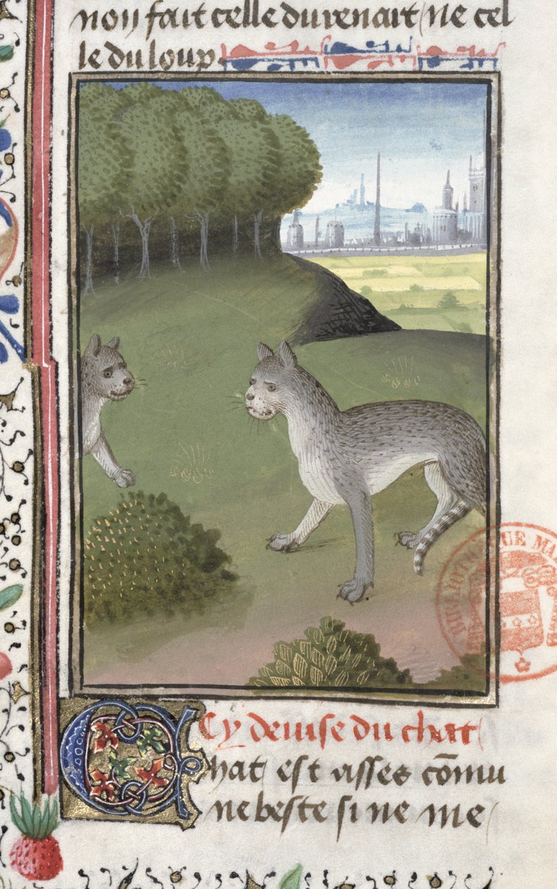 Gaston Phebus de Foix tarafından Livre de la Chasse