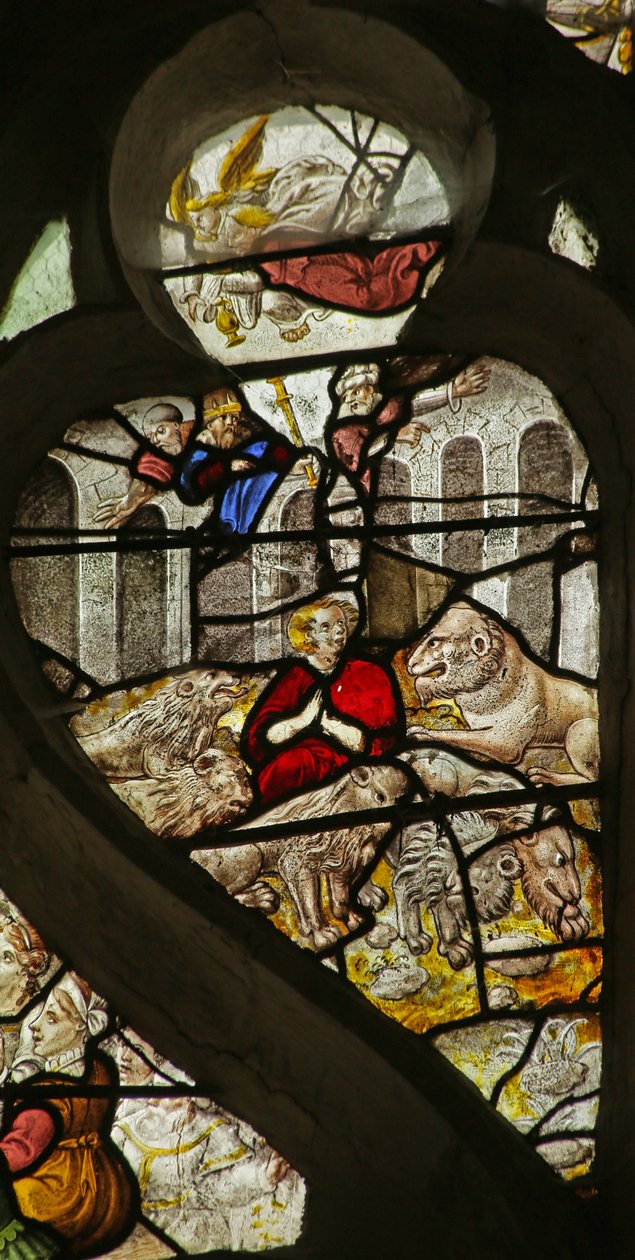 Lions
