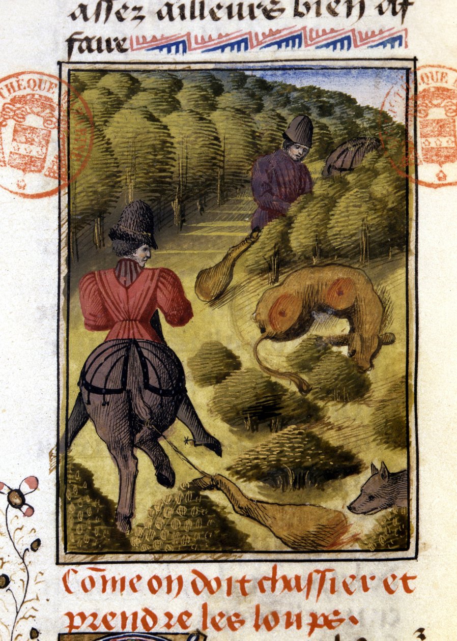 Kurt Avı- “” Gaston Phoebus