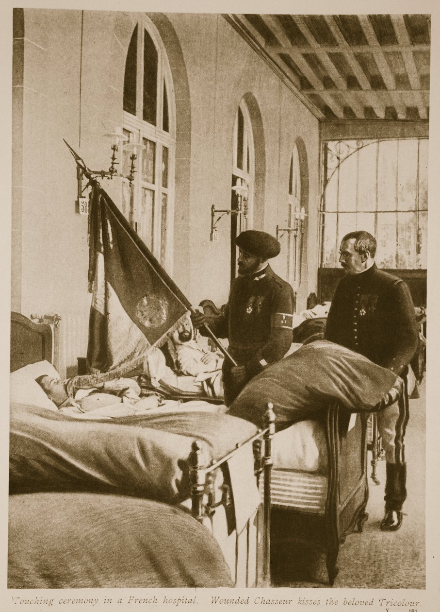 Yaralı Chasseur sevgili Üç Renkli