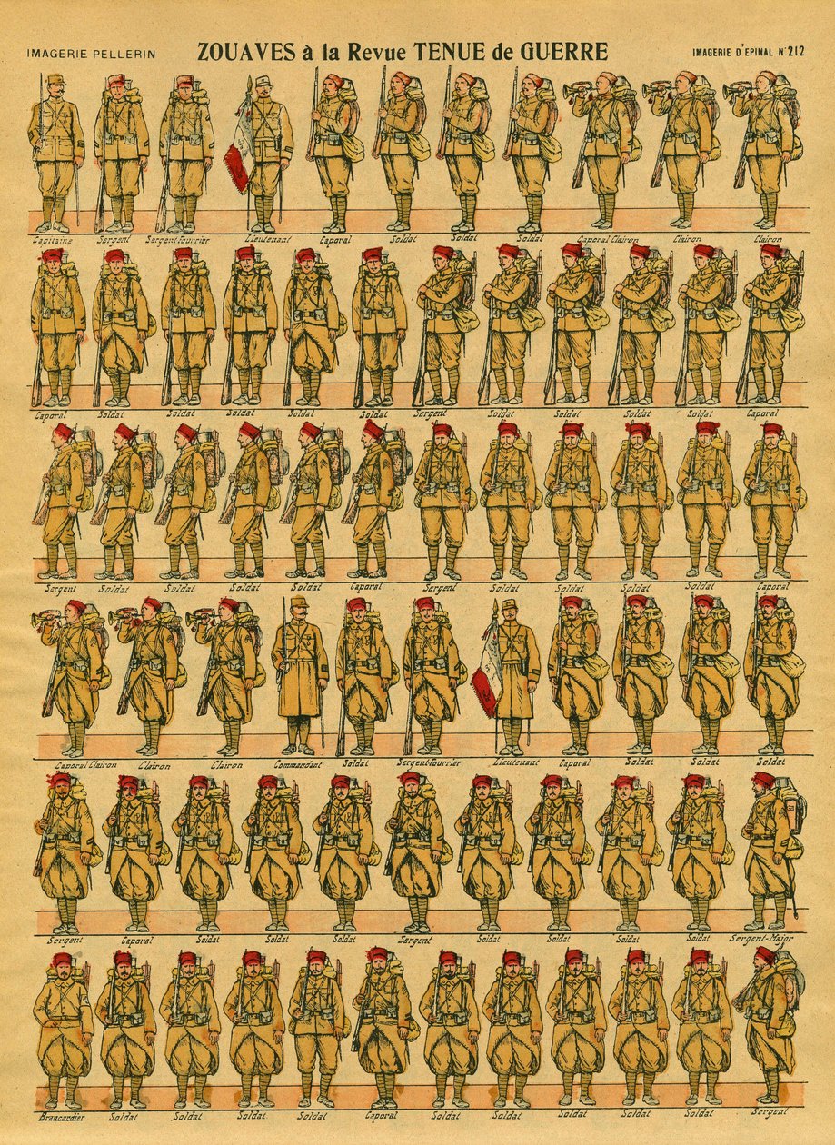 Zouaves, Cezayir