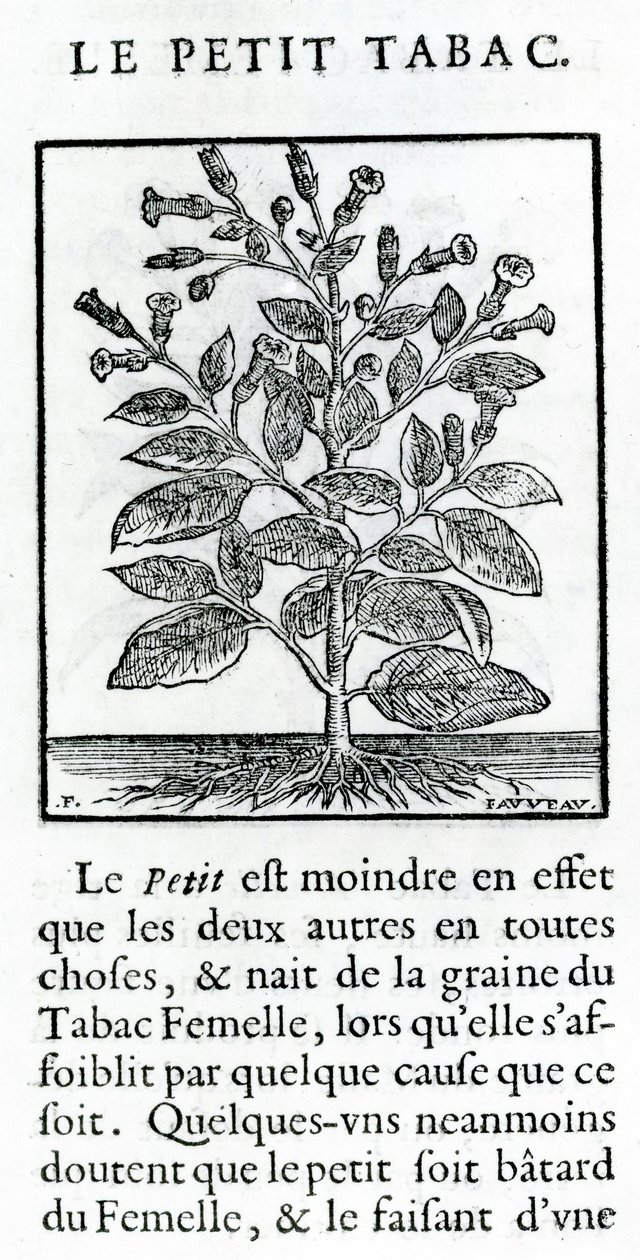 le Petit Tabac, Jean Le Royer de Prade