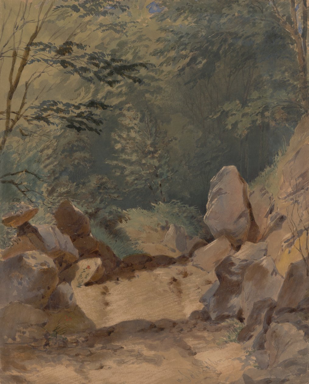 Kayalarla Orman Manzarası by Friedrich Carl von Scheidlin
