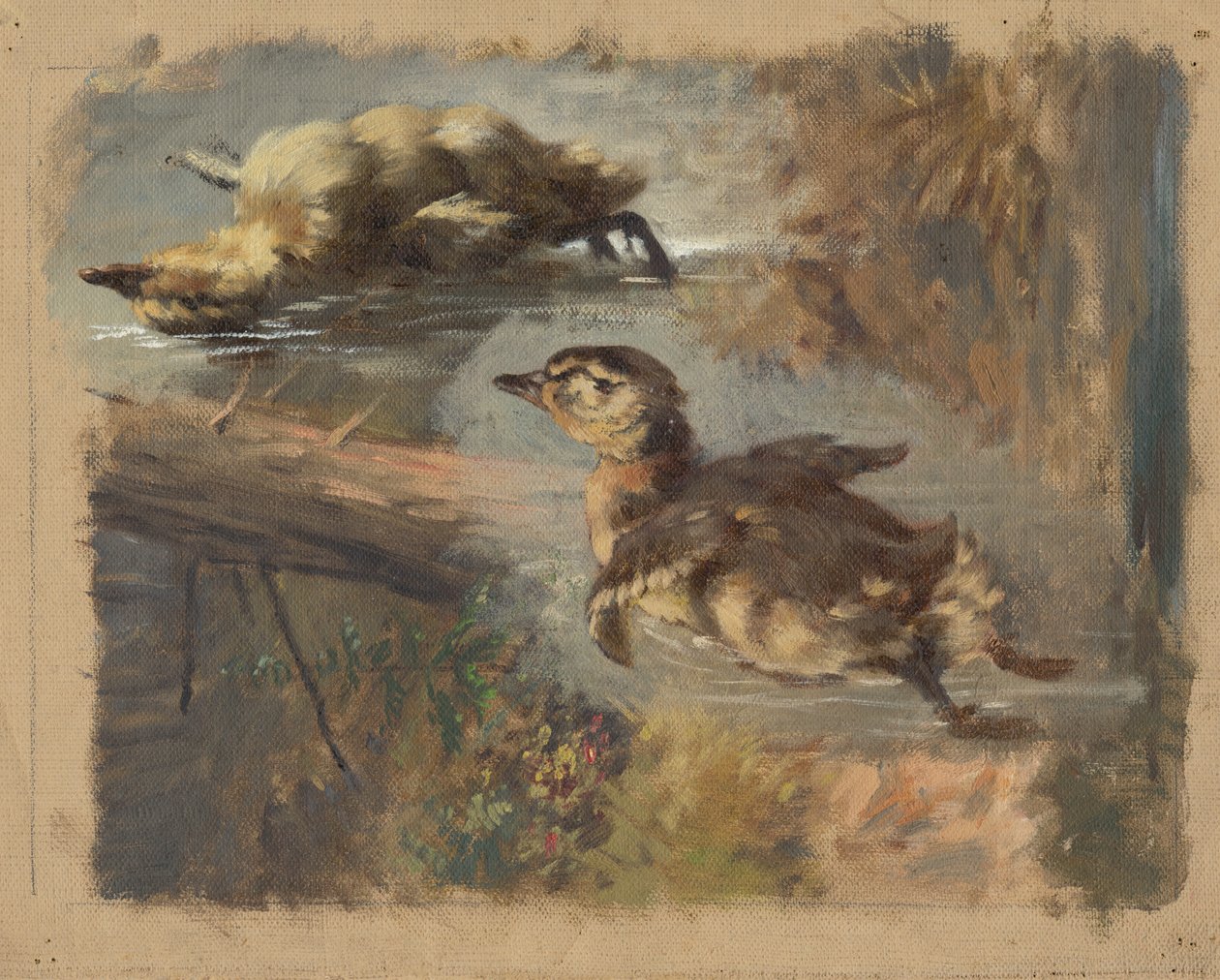 Sudaki Ördeklerin İncelenmesi I by Friedrich Carl von Scheidlin