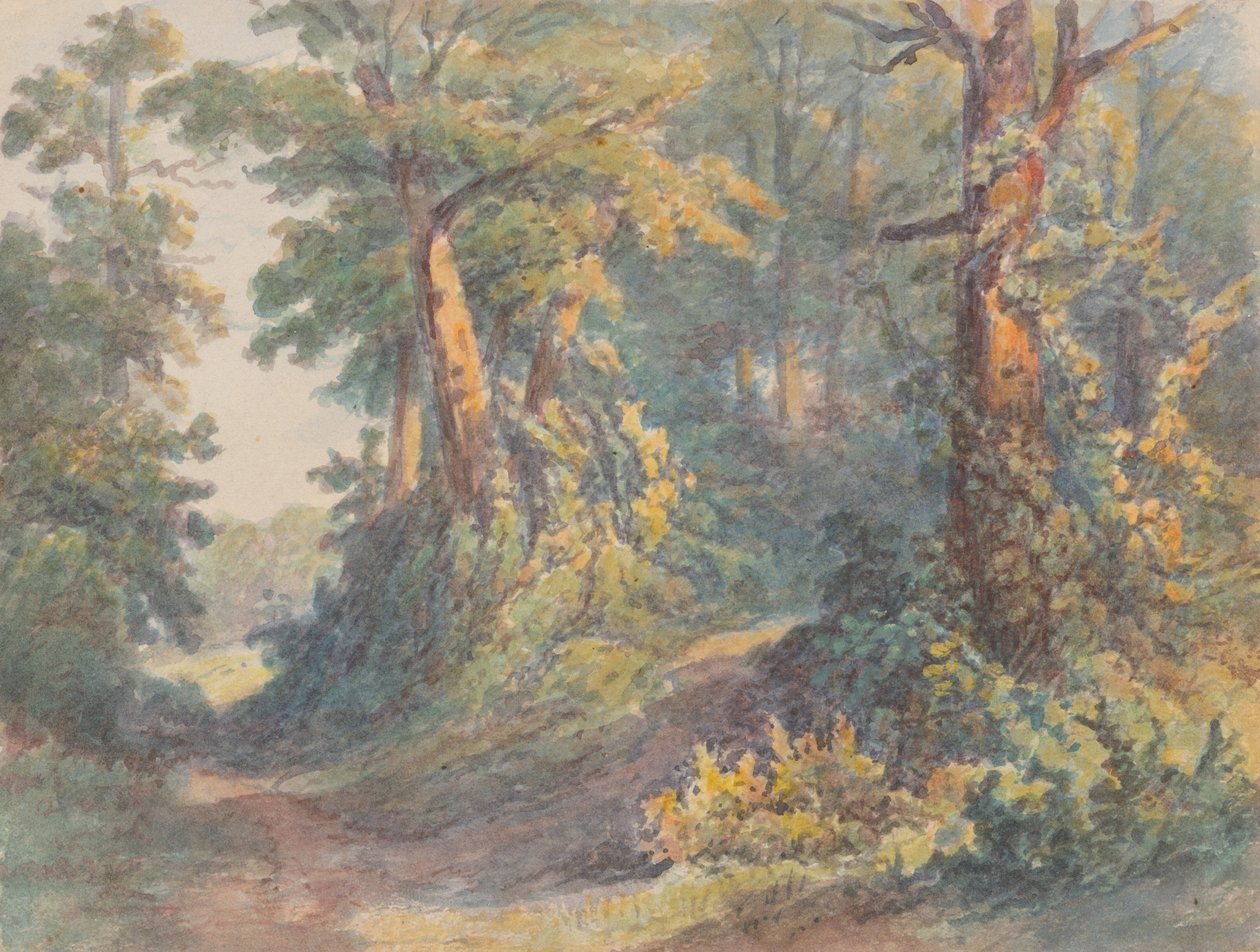 Orman Manzarası by Friedrich Carl von Scheidlin