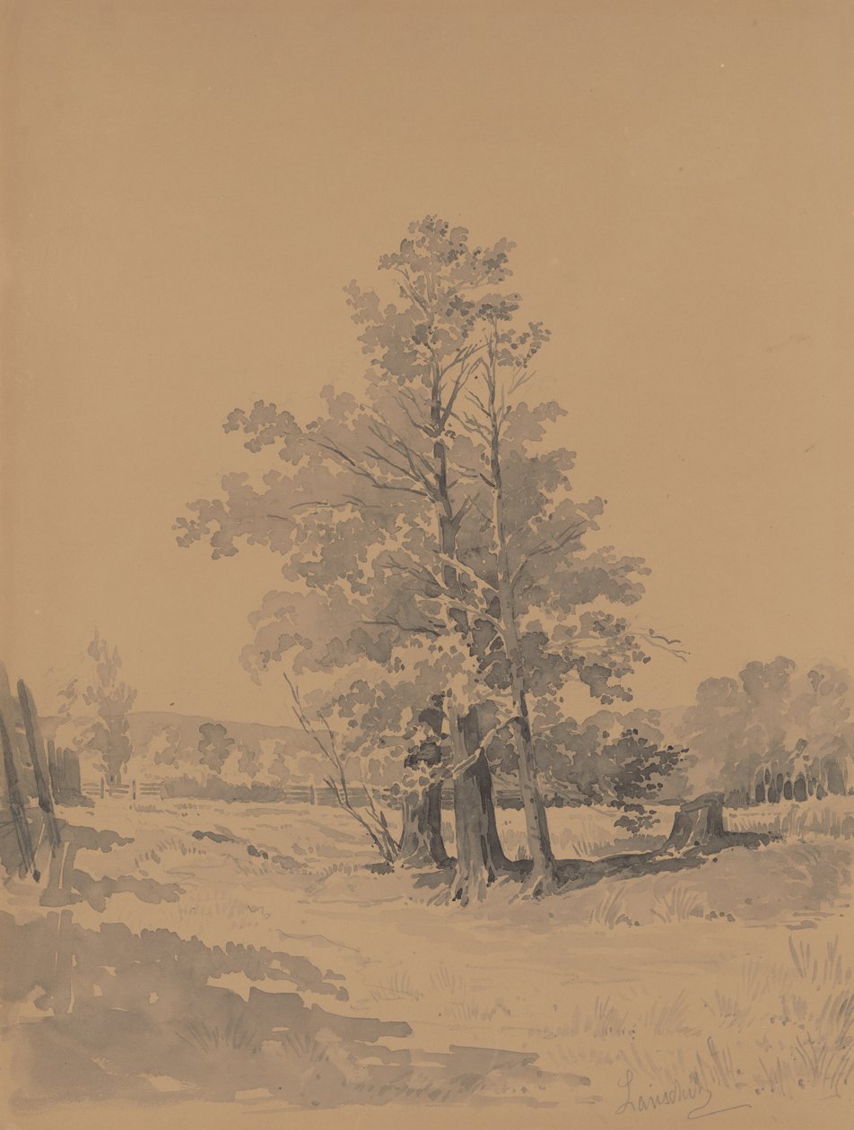 Ormanın Kenarındaki Ağaçlar by Friedrich Carl von Scheidlin