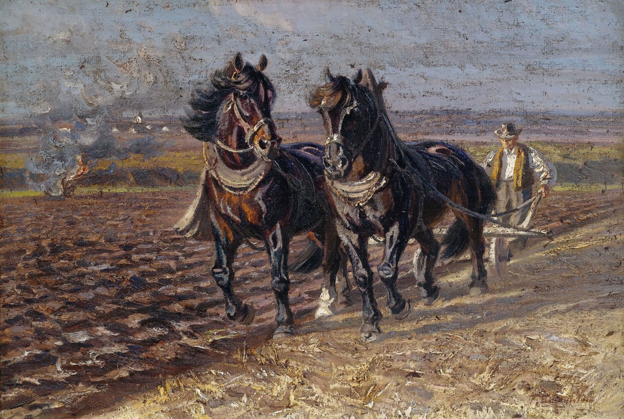 Pullukta iki siyah at by Friedrich Eckenfelder