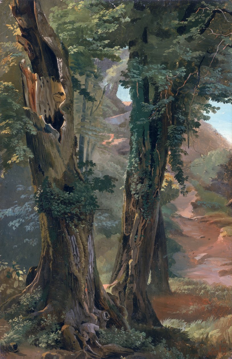 Old Elms, c.1835 (gemide kağıt üzerine yağlı boya) by Friedrich Nerly