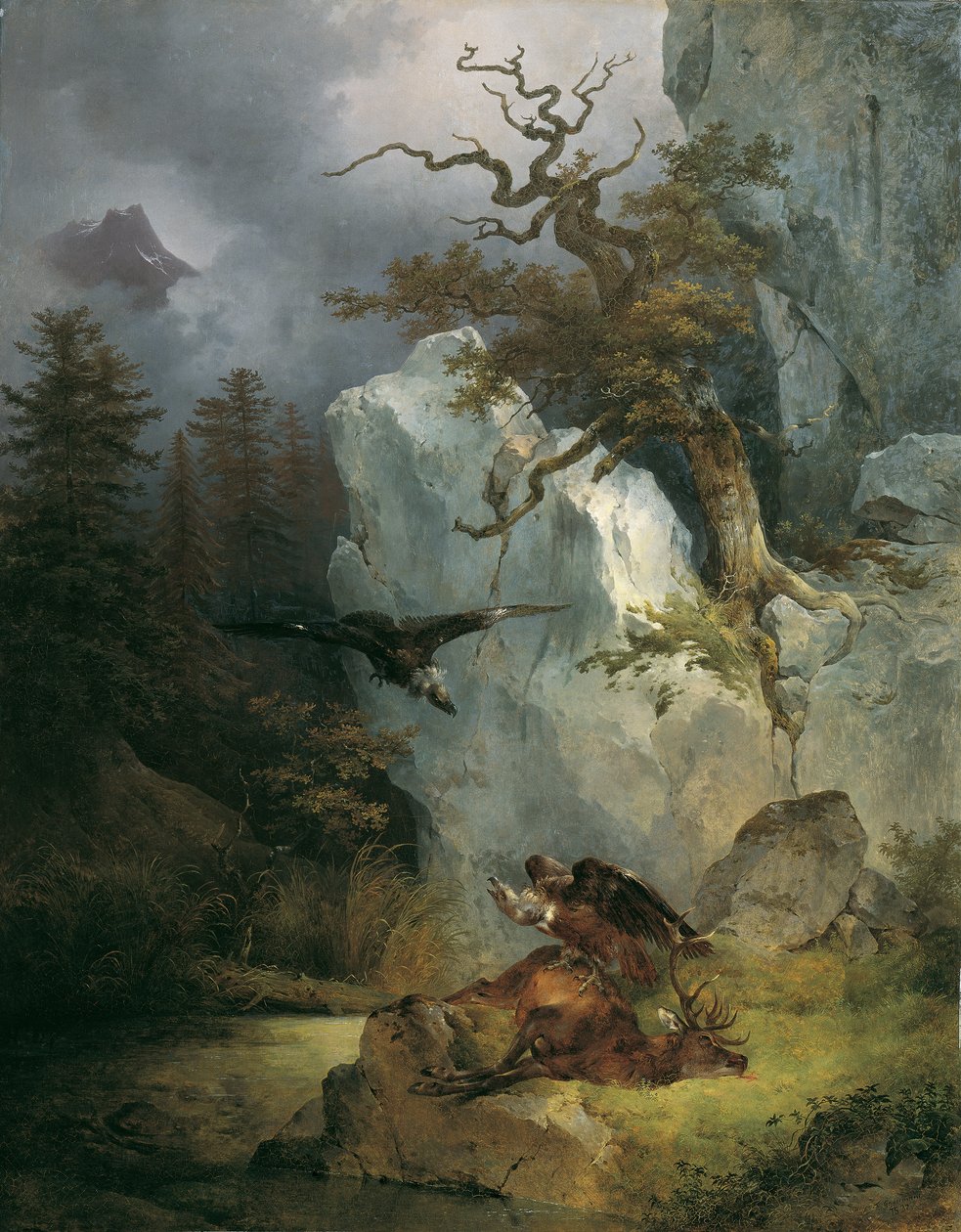 Ölü bir geyik üzerinde bir akbaba by Friedrich August Mathias Gauermann