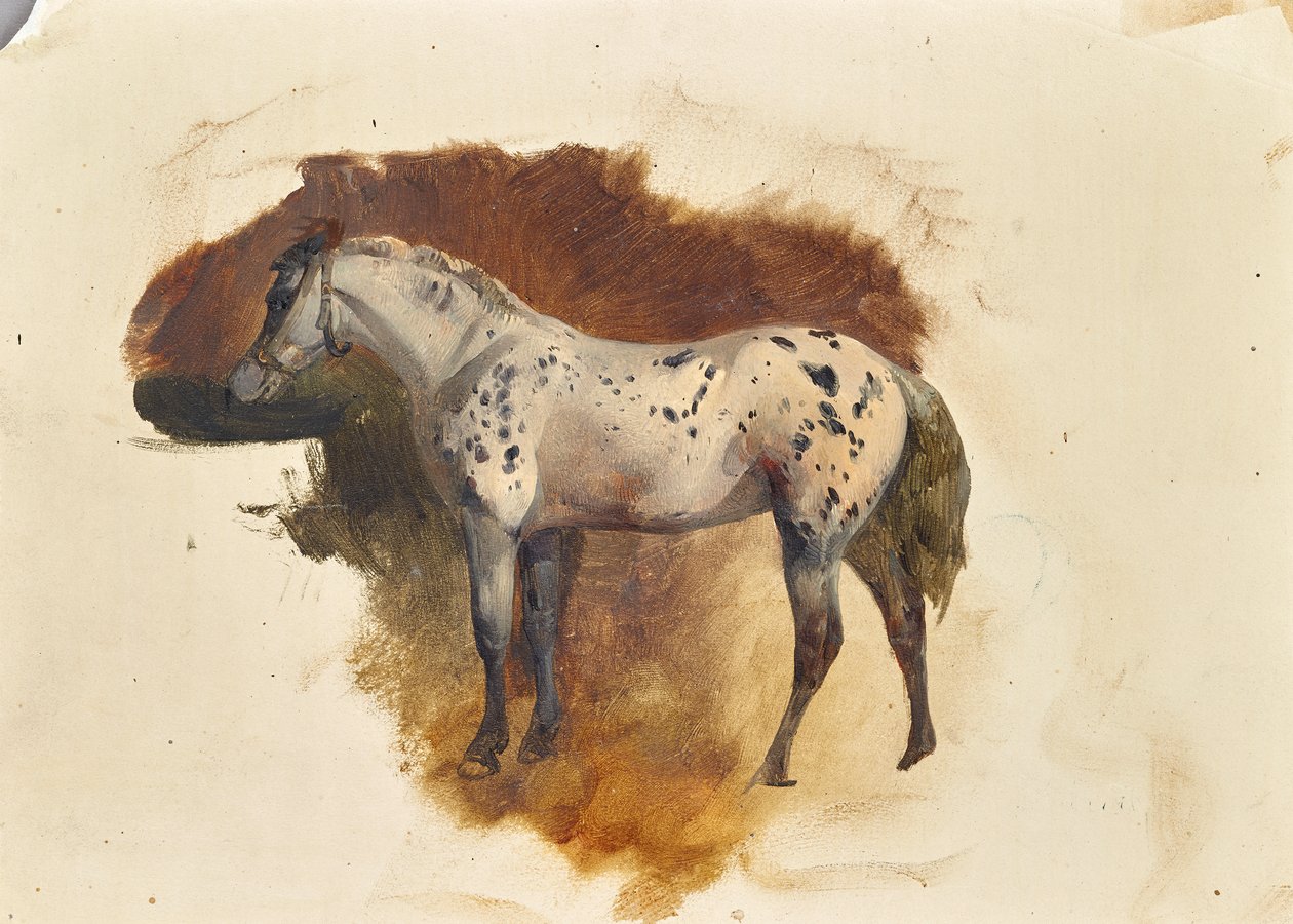 benekli kalıp by Friedrich August Mathias Gauermann