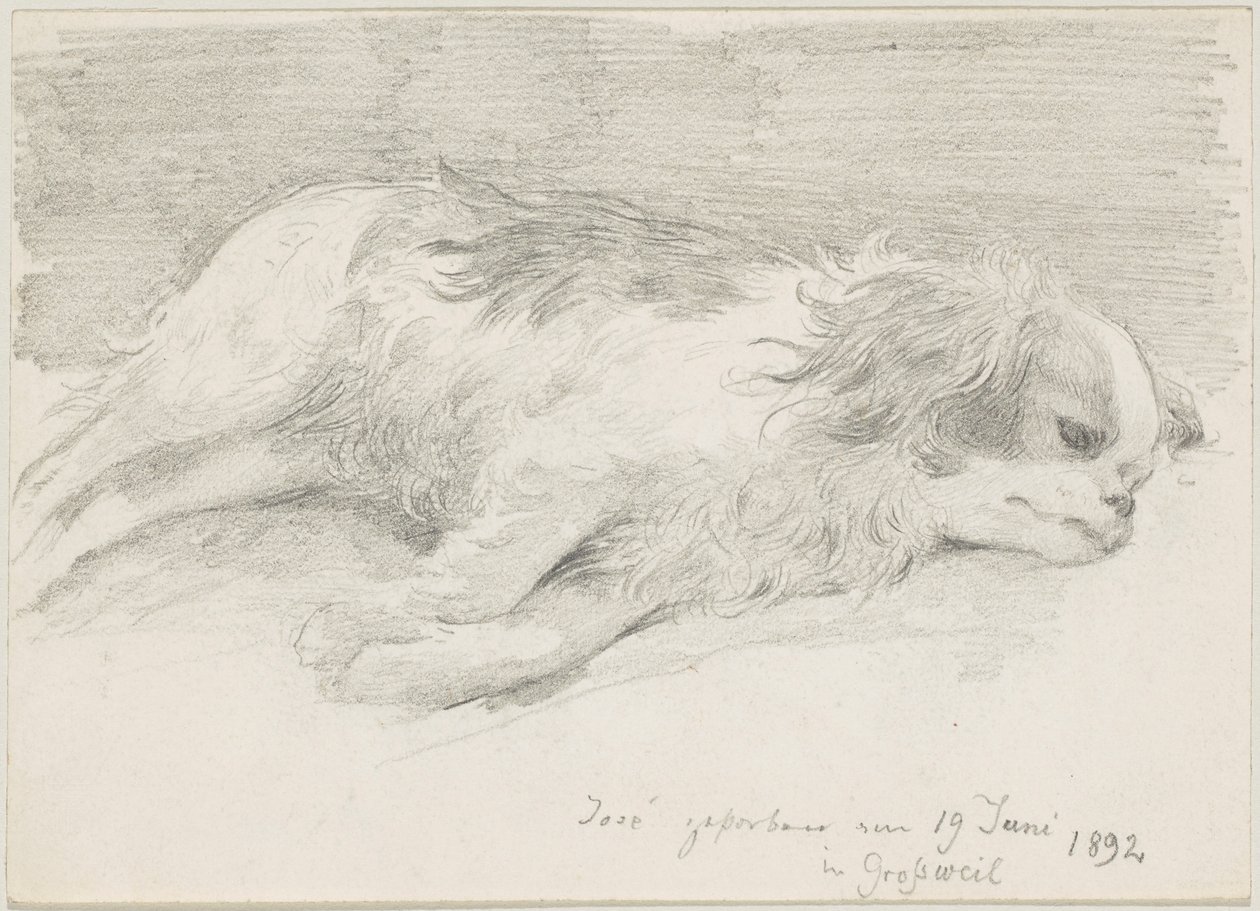 köpek çalışmaları by Friedrich August von Kaulbach