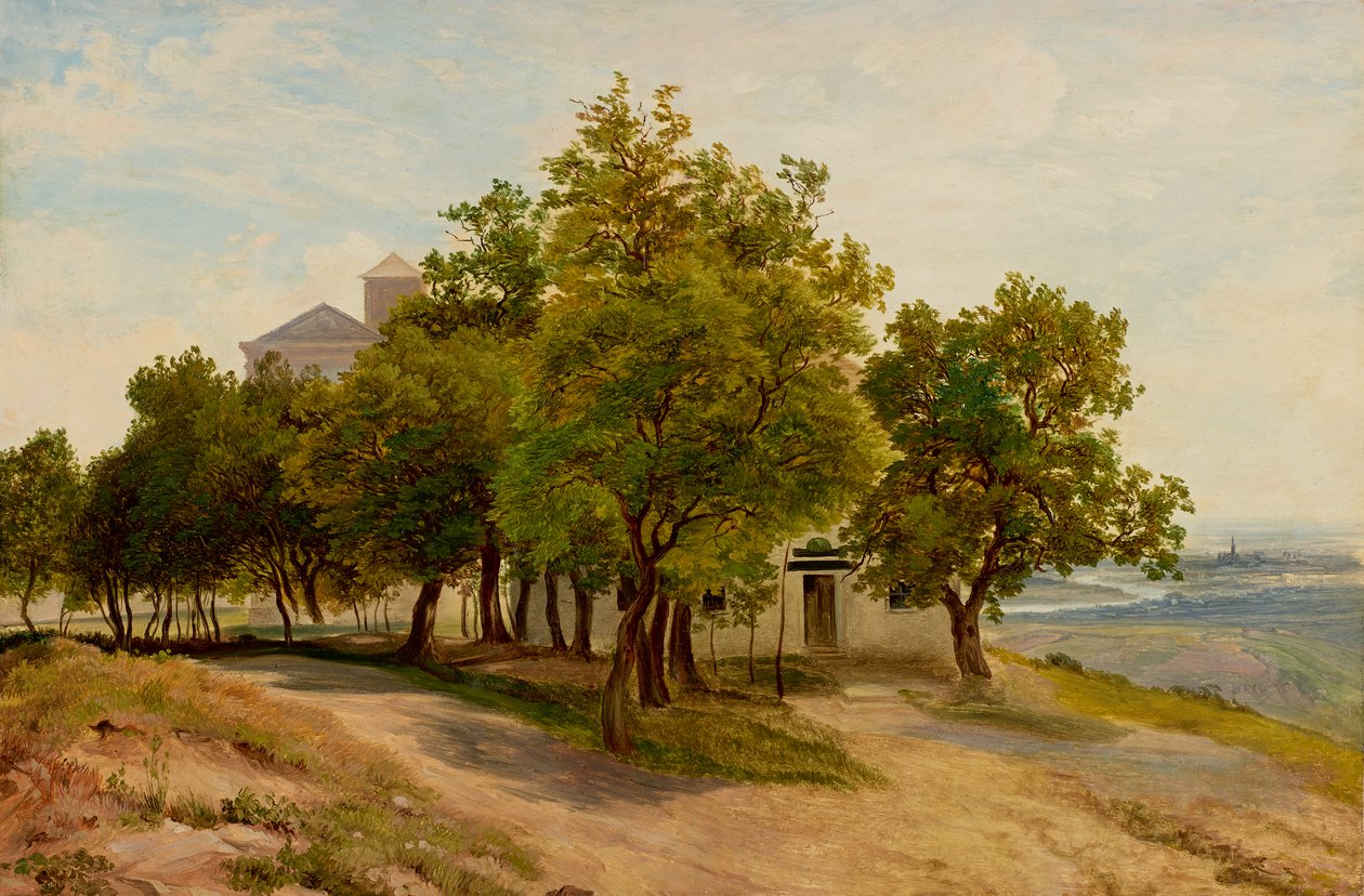 Viyana manzaralı Kahlenberg