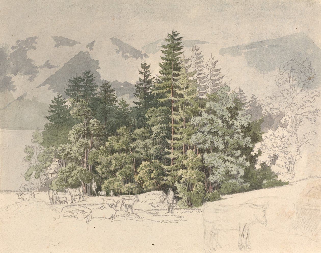 Alp Manzarası by Friedrich Salathé