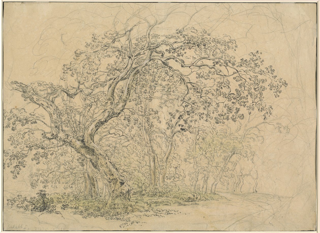 Ağaçların Korusu [verso] by Friedrich Salathé