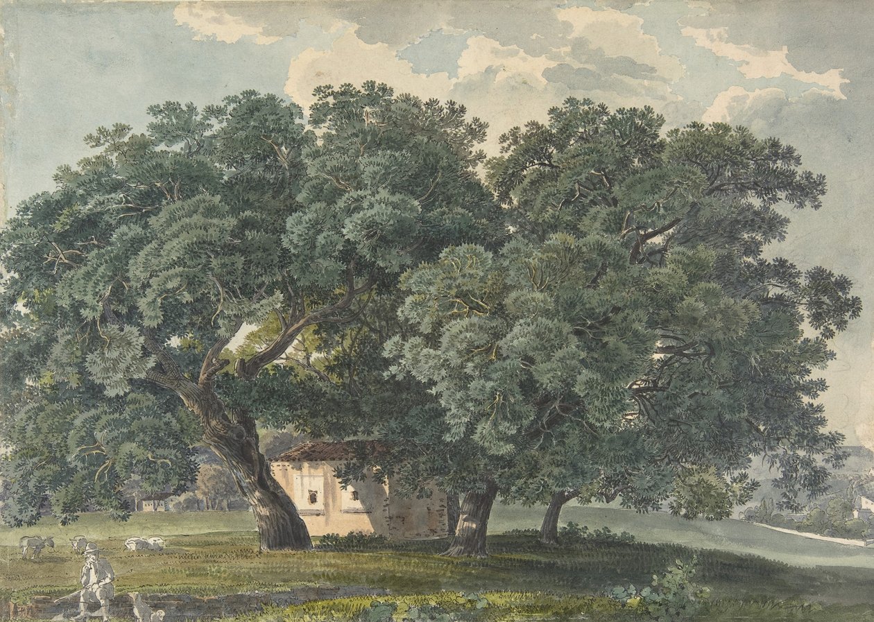 Ağaçlı İtalyan Manzarası recto, 1815-21. by Friedrich Salathé