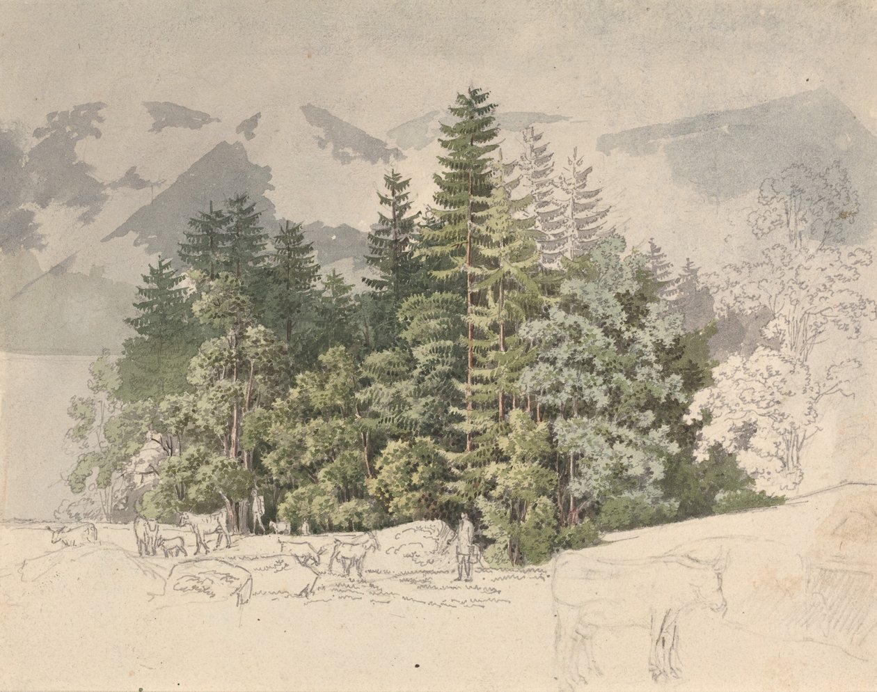 Alp Manzarası (grafit üzerine guaj) by Friedrich Salathe