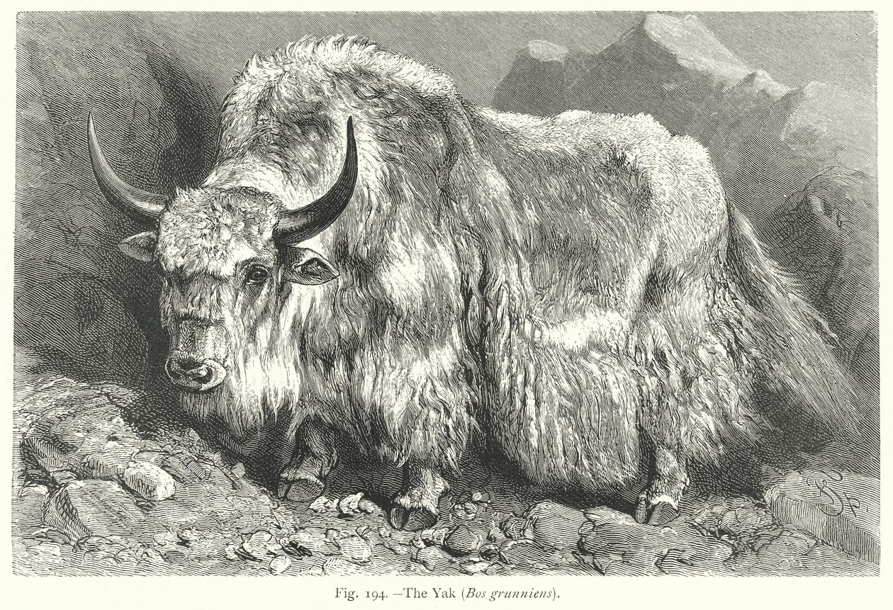  by Friedrich Specht