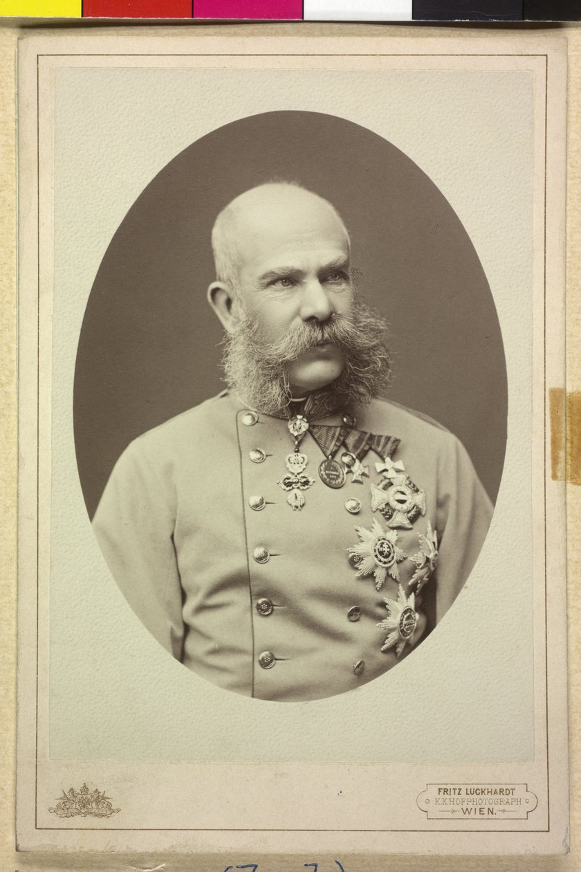 I. Franz Joseph by Fritz Luckhardt