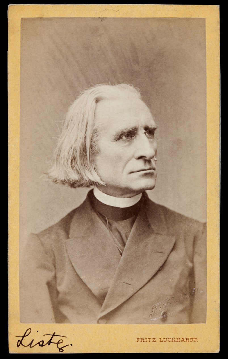 Franz Liszt'in Portresi by Fritz Luckhardt