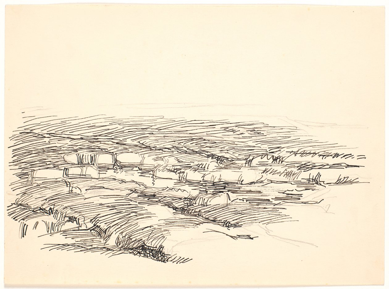 Bataklık manzarası için çalışma by Fritz Syberg
