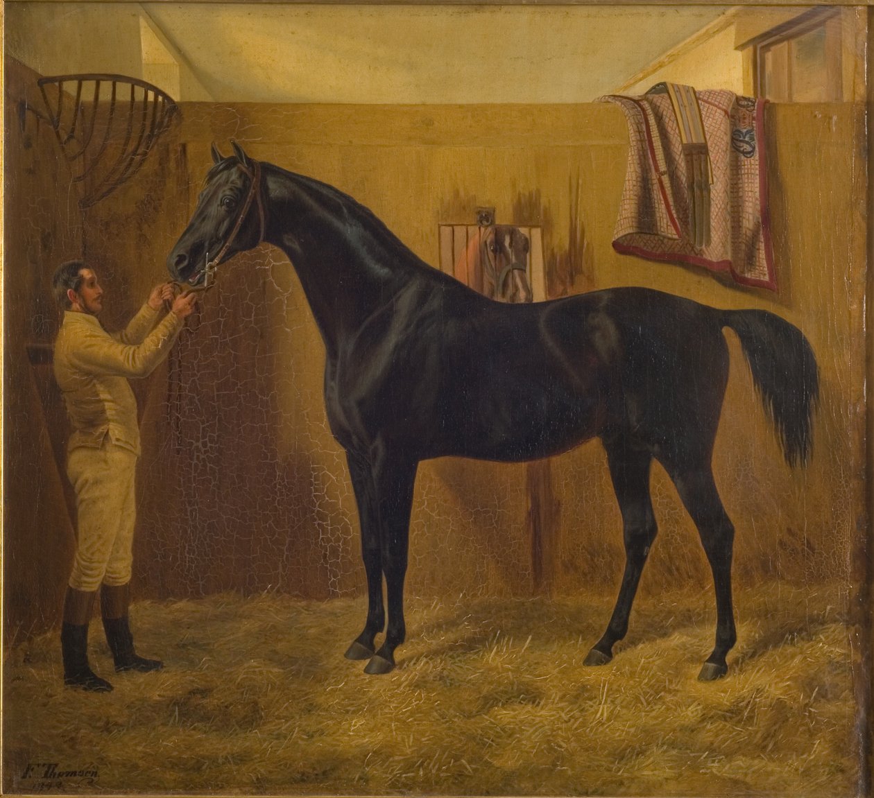 siyah kuyruklu yıldız by Fritz Thomsen