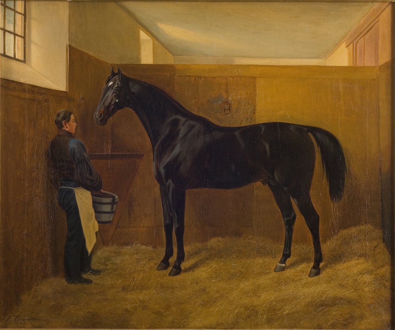 bacaklar by Fritz Thomsen