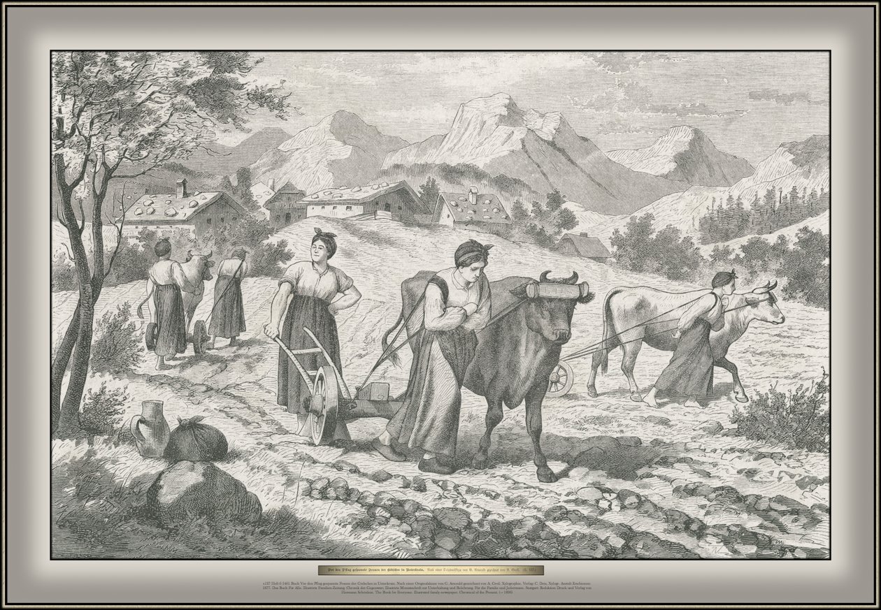 Aşağı Carniola
