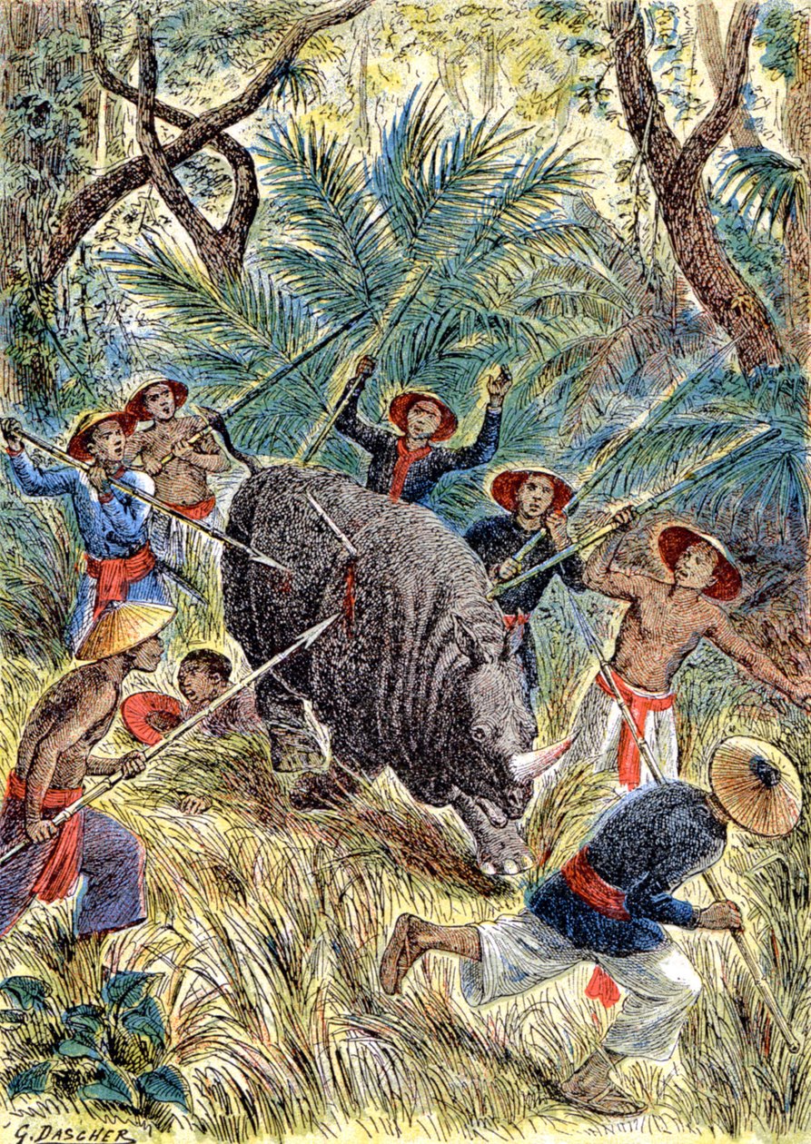 Gergedan avı, Fransız Çinhindi, 1900 dolayları (resim) by G. Dascher