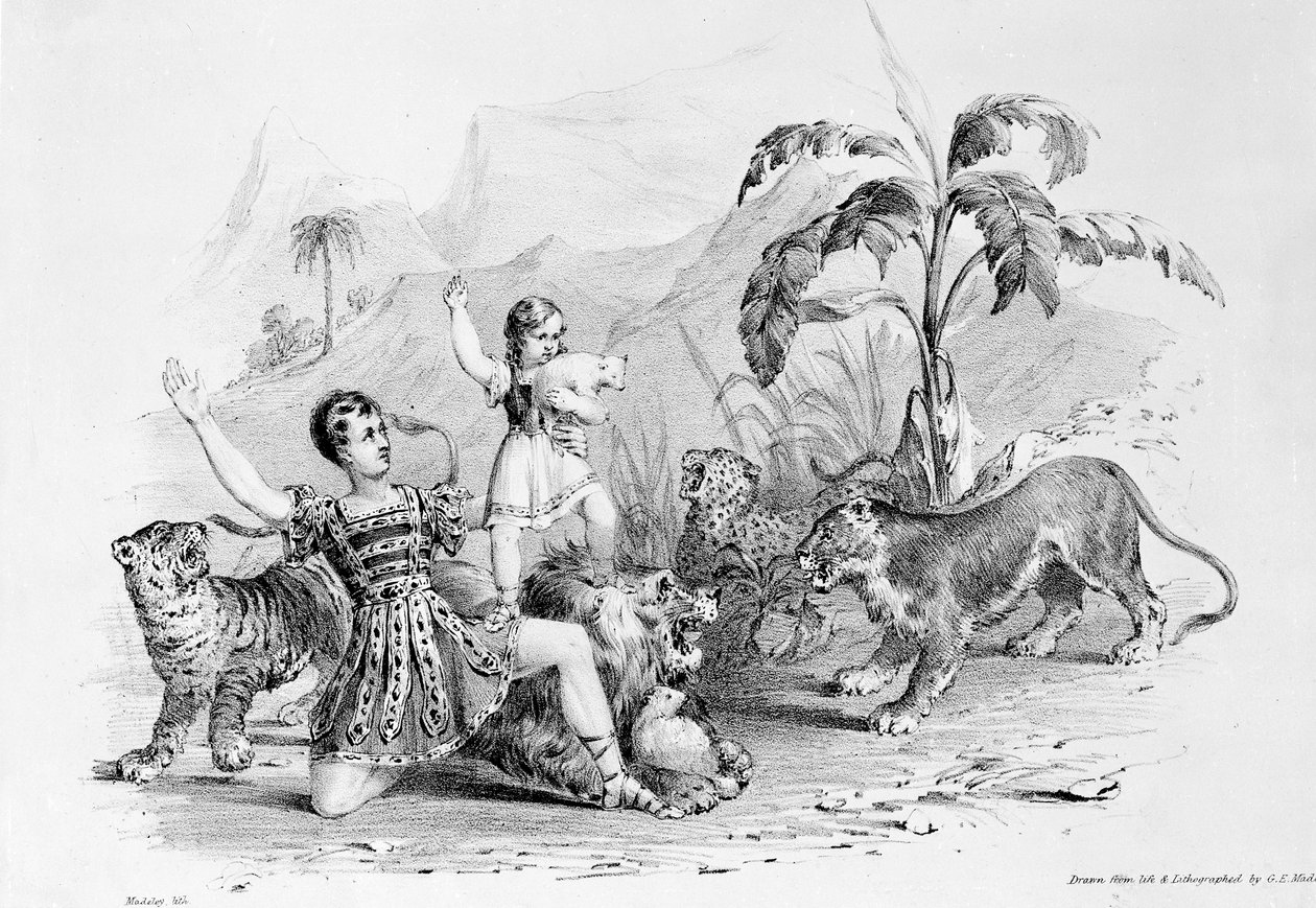 Isaac Van Amburgh bir aslanı evcilleştiriyor by G. E. Madeley
