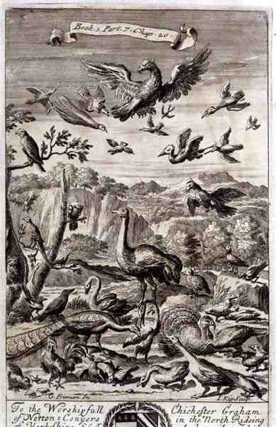 A Variety of Birds, Anthony Le Grand tarafından yazılan 