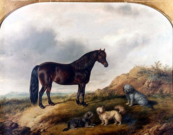 Bir manzarada bir Pony ve üç Teriyer by G. Jackson