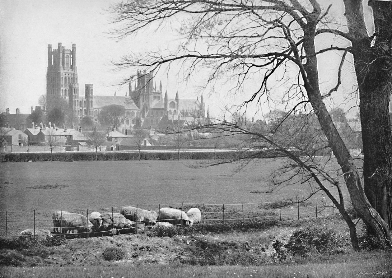 Ely Katedrali, c1896 by G. W. Wilson and Company