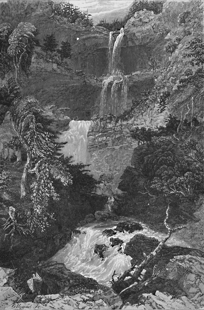 Trenton Şelaleleri Panoraması, 1883 by G. Wyand