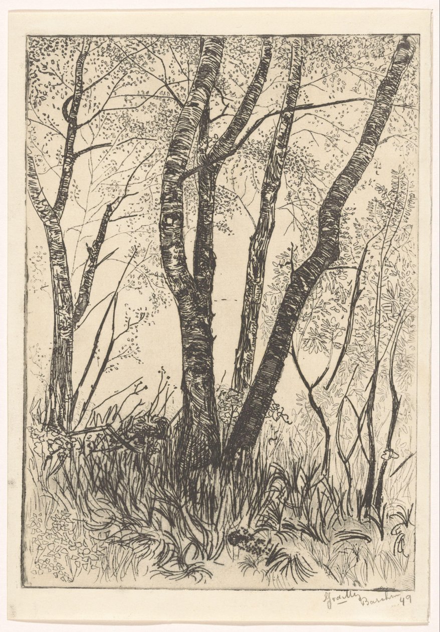 Uzun otların arasında ağaçlar by G. van der Mey (signed by artist)
