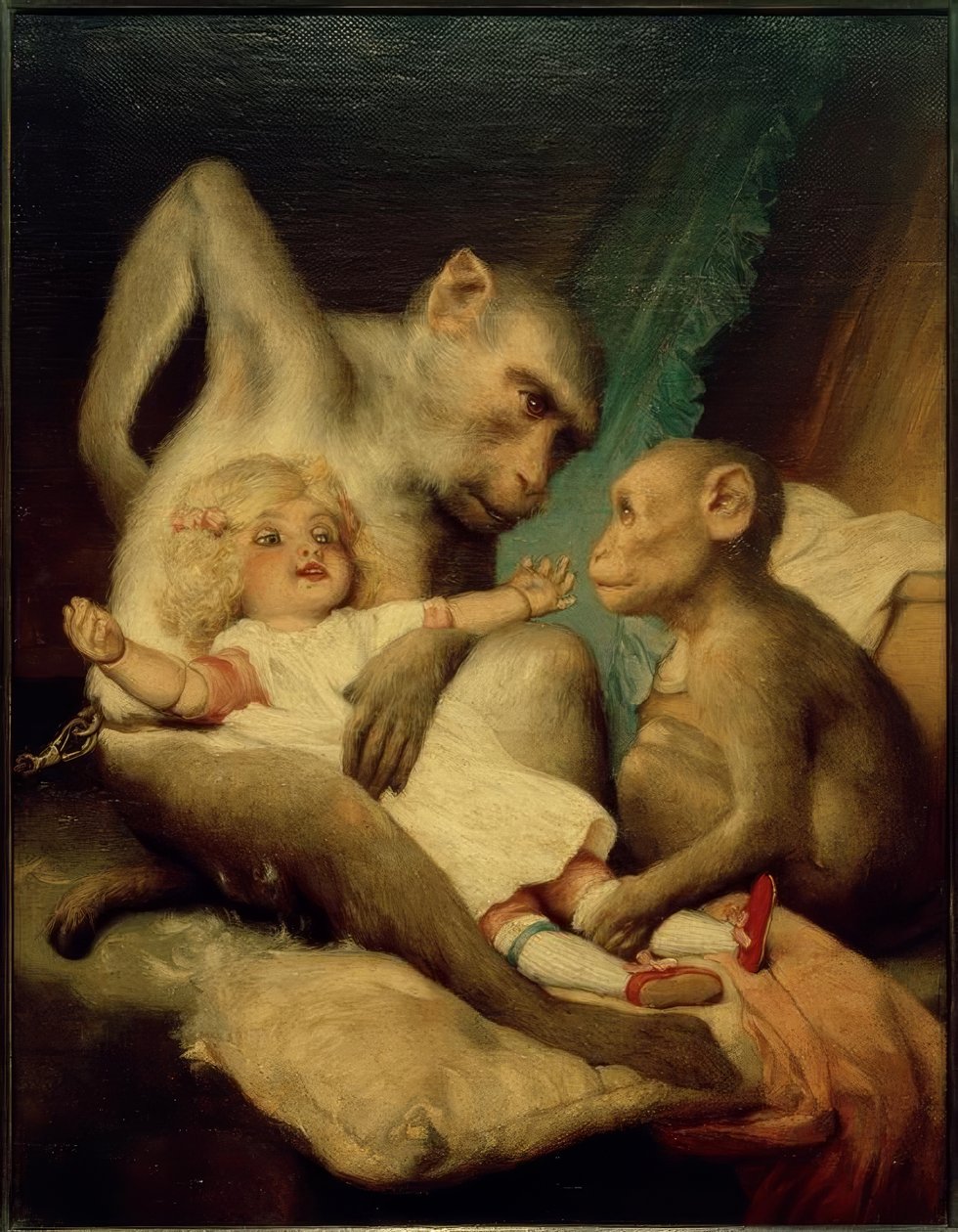 antropolojik sınıflar by Gabriel Cornelius Ritter von Max
