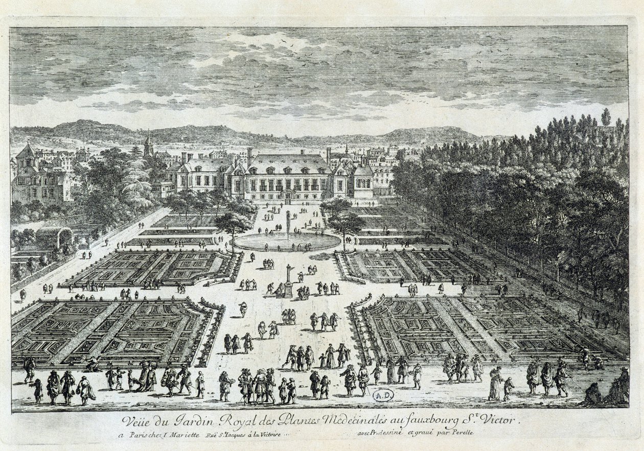Perelle tarafından 17. yüzyılda Jardin des Plantes