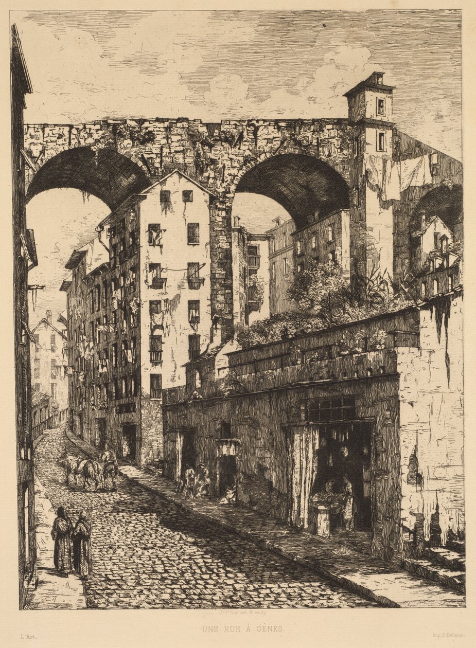 Cenova