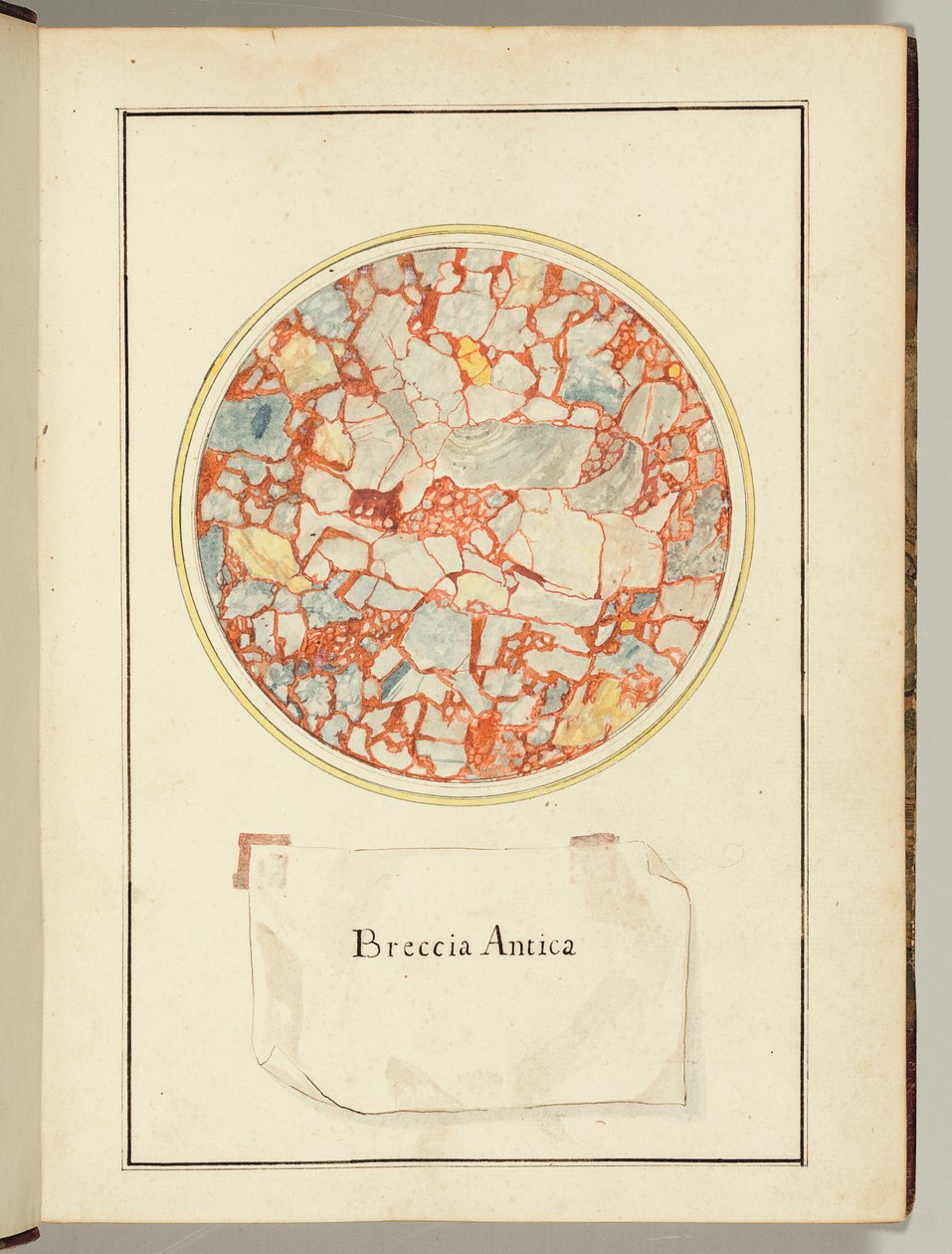  by Gaetano Piccini