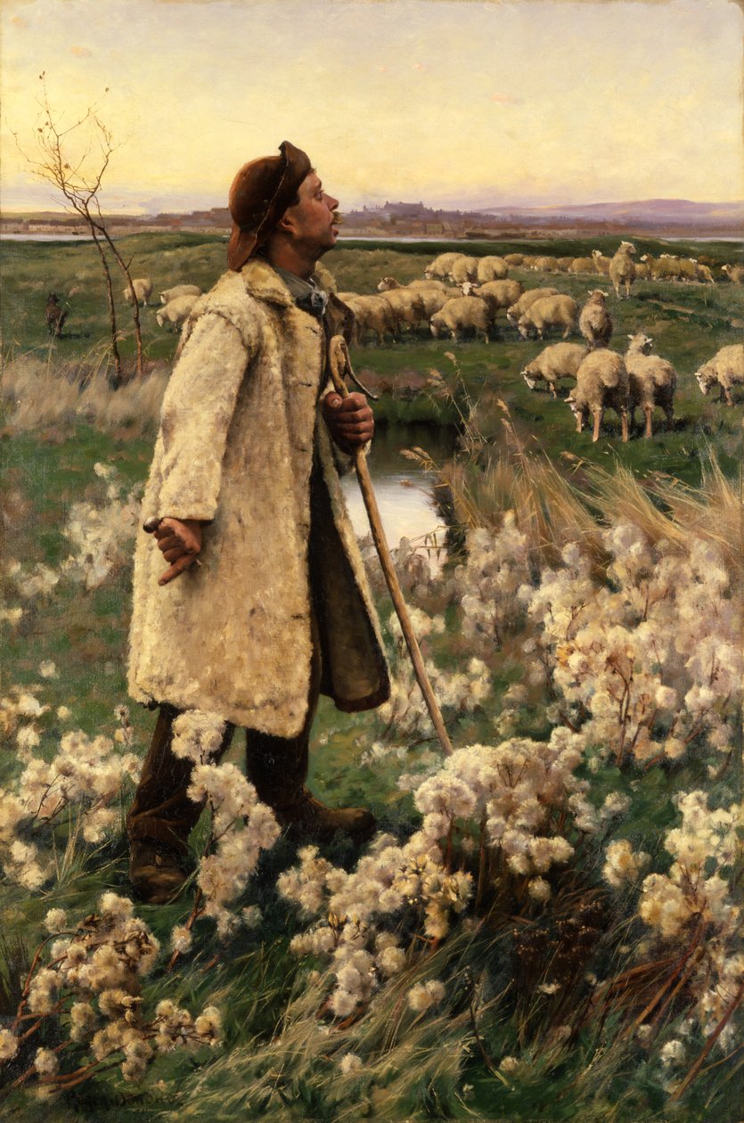 Çoban, 1884. by Gaines Ruger Donoho