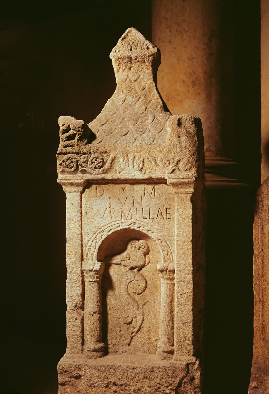 Cenaze yıldızları by Gallo Roman