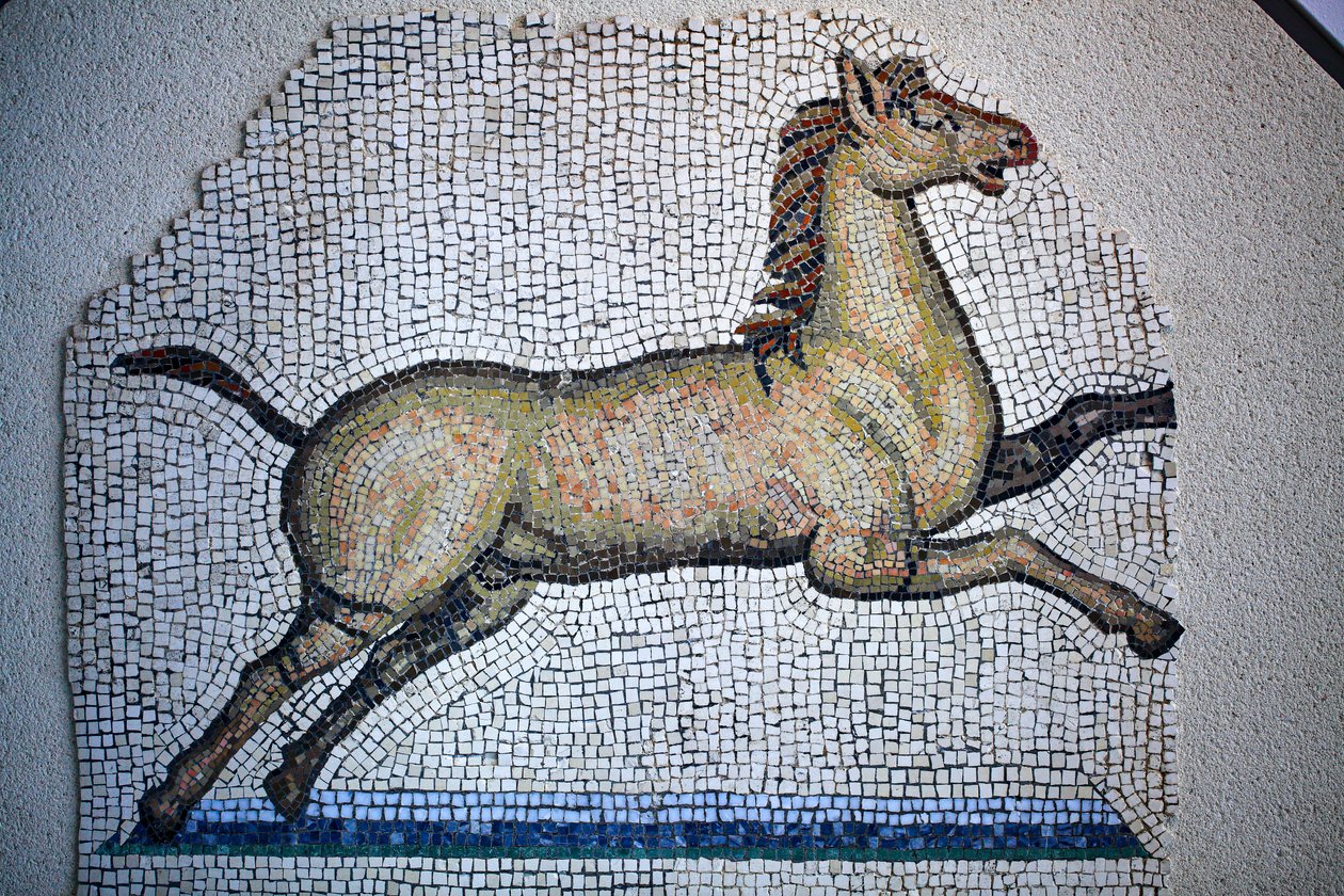 Roma mozaiği by Gallo-Roman